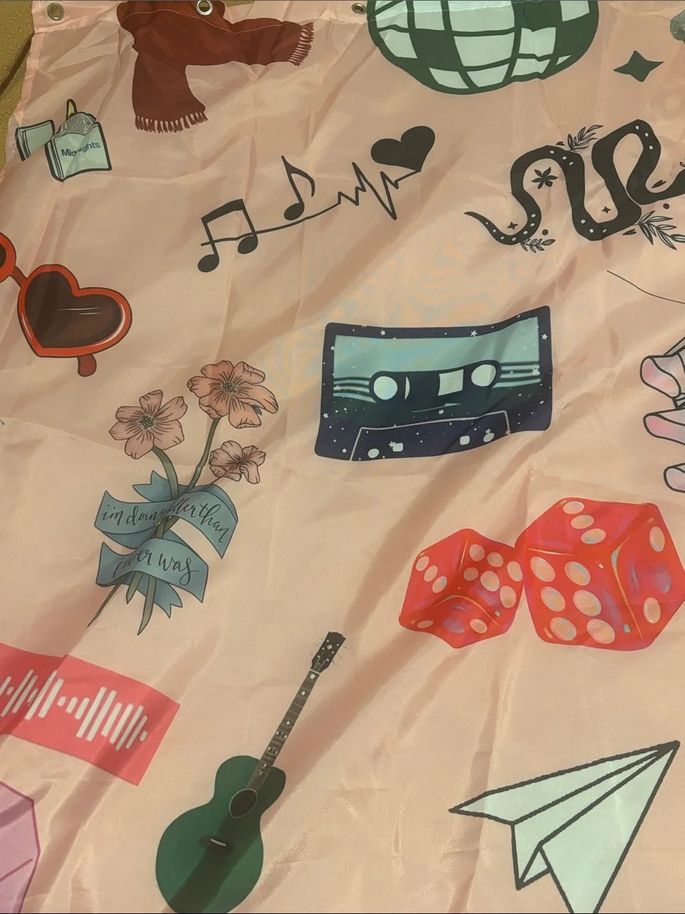 Taylor Swift Shower Curtain